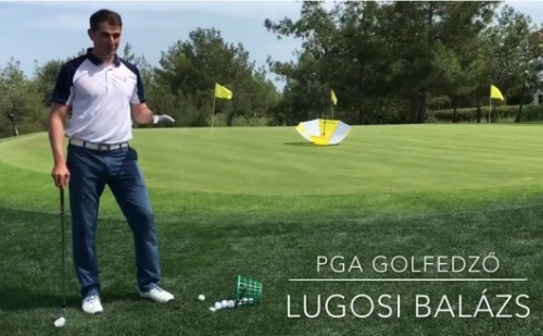 Golflecke: Esernyős chip